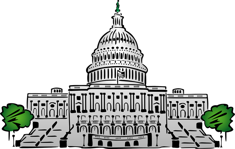 Stylized illustration of the U.S. Capitol Building with green trees and a flag, set against a black background.