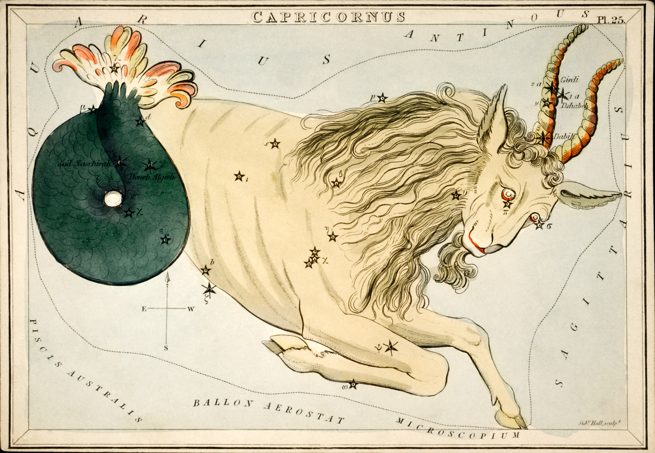 Capricornus Constellation Map - Historical Celestial Chart by Sidney Hall