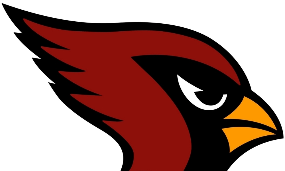 Stylized red cardinal head logo with black outline, sharp eye, and orange beak.