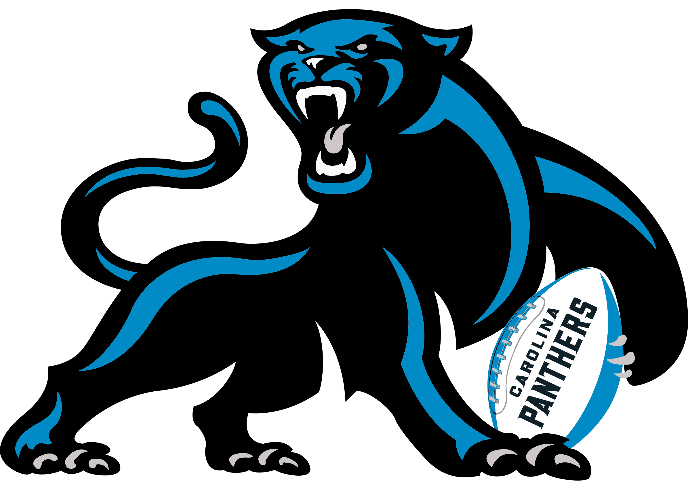 carolina pantherss