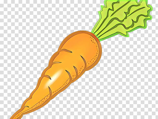 Carrot Illustration - Free PNG Clipart for Food & Education Sites