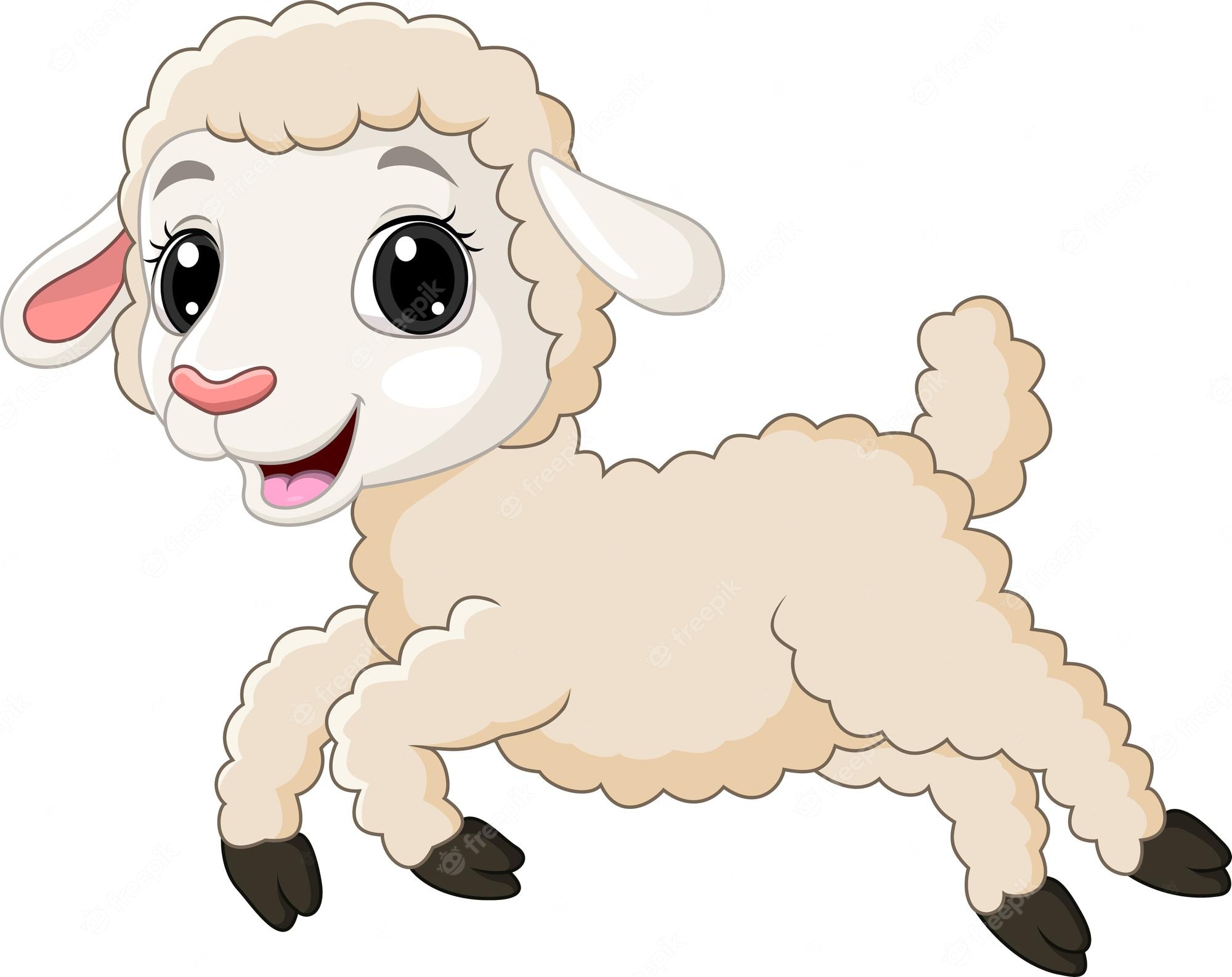 market lambs - Clip Art Library