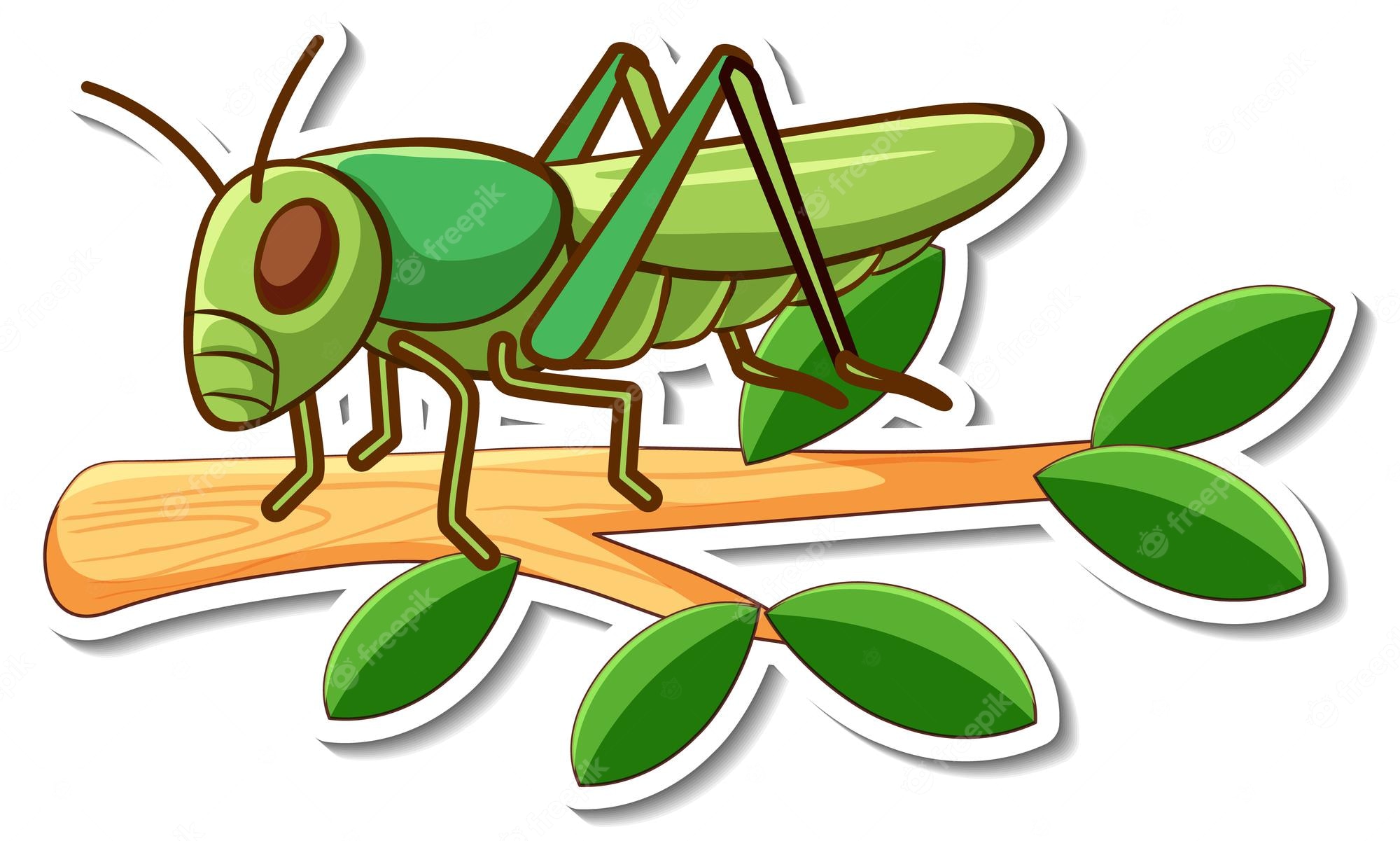 Grasshopper Vector Clip Art Clipart Panda Free Clipar Vrogue Co