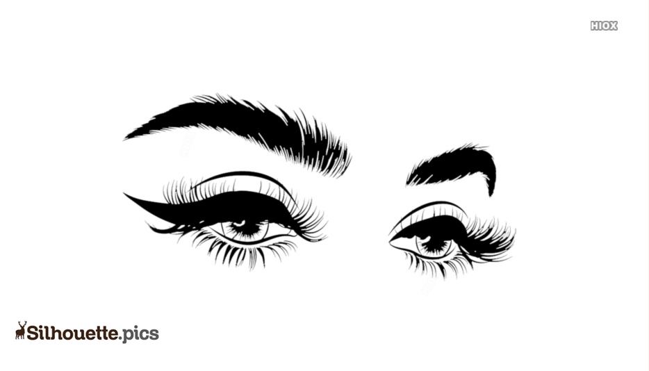 Elegant Eyeliner & Lash Illustration - Free Silhouette Vector Art