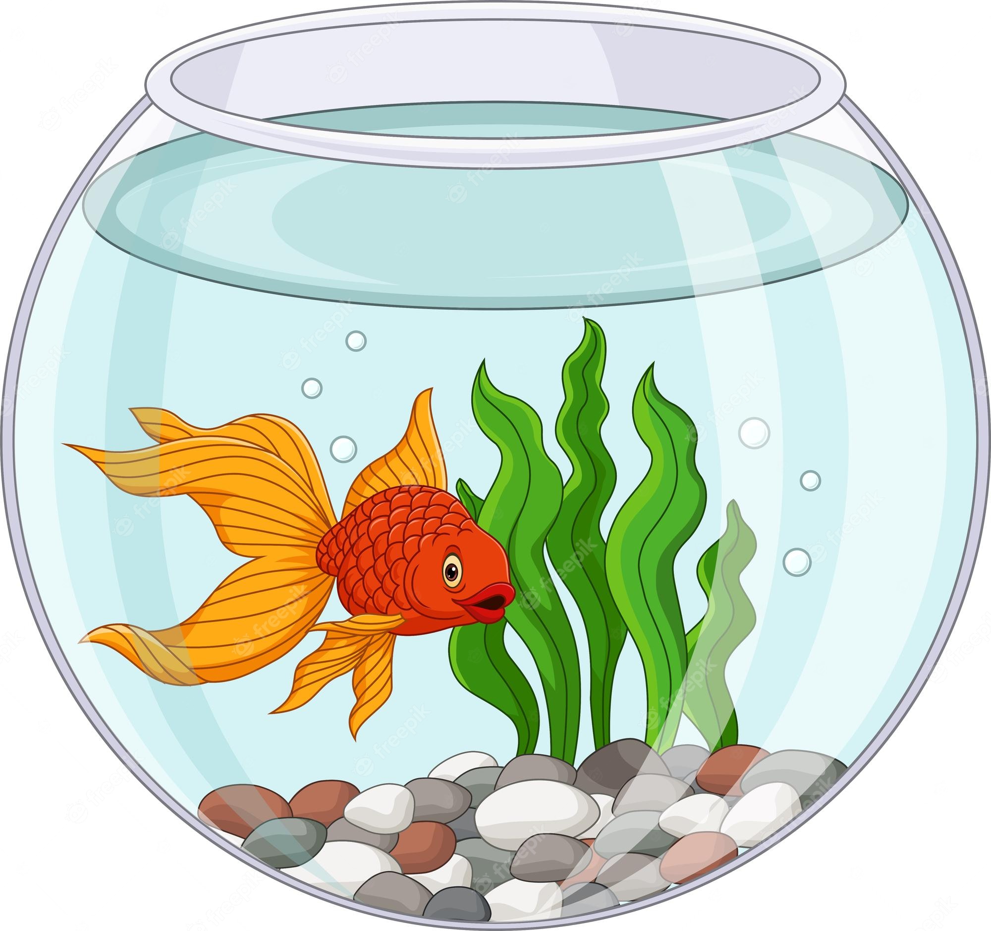 Free Fish Bowl Clipart Pictures - Clipart Library - Clip Art Library