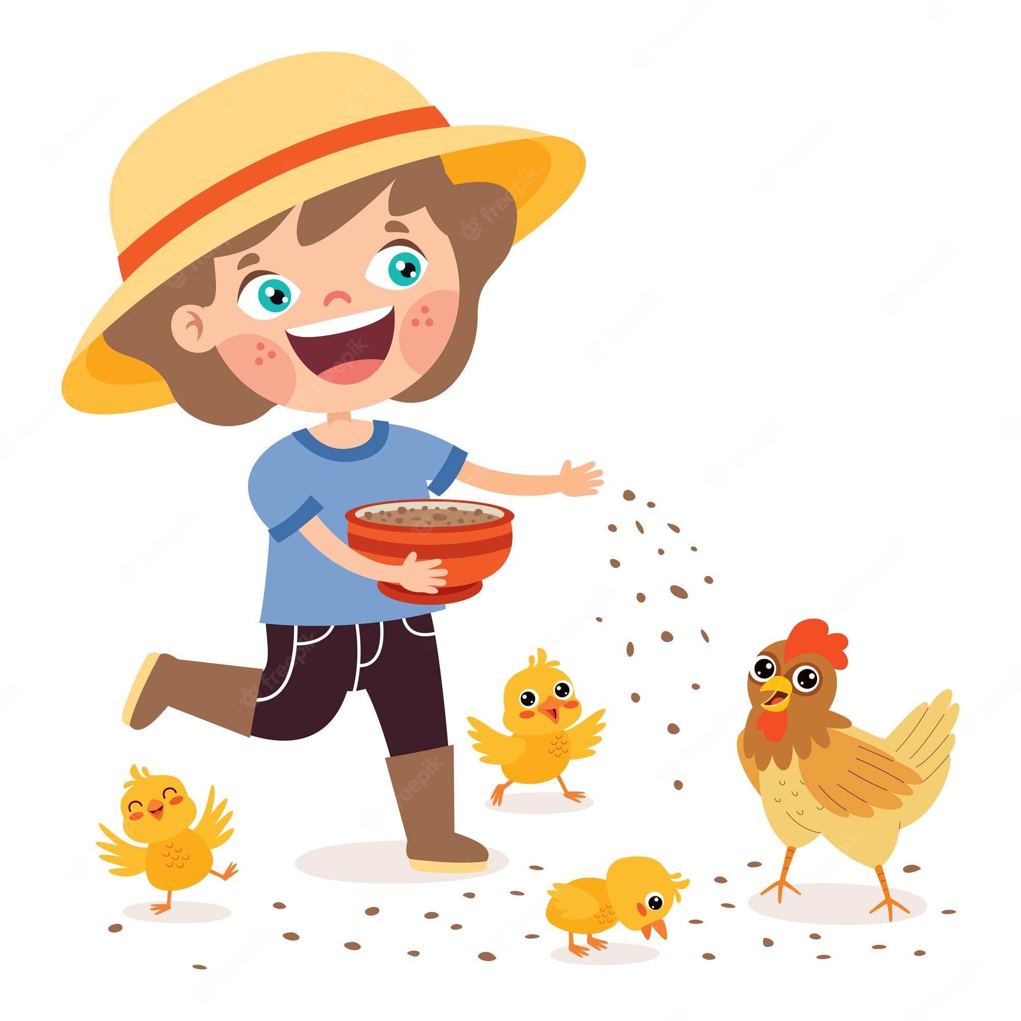 1 000 Chicken Feed Illustrations Royalty Free Vector Graphics Clip 