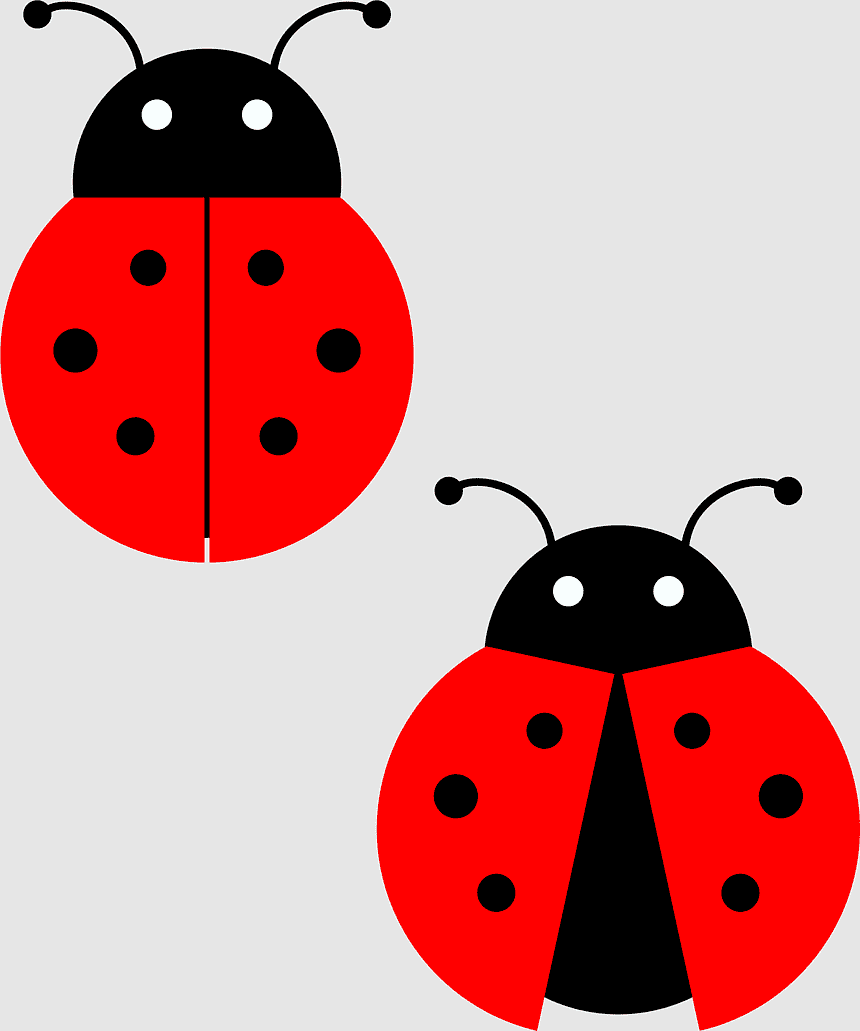 Two stylized red ladybugs with black spots and white eyes on a light gray background.
