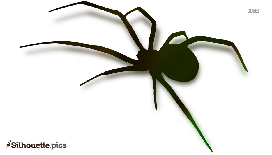 Funny Spider Cliparts png images | PNGEgg