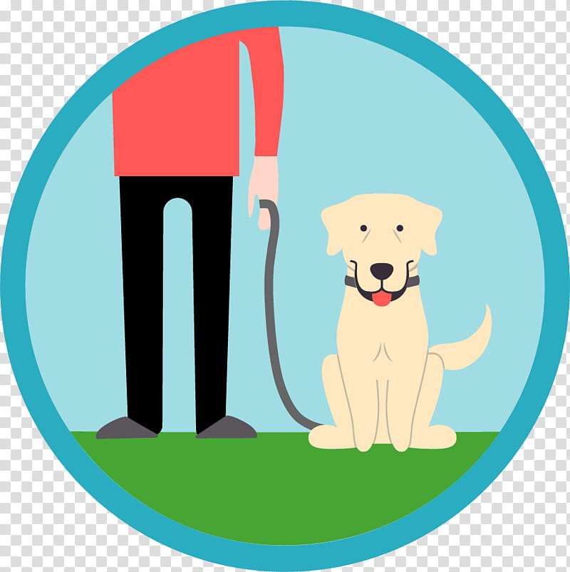 Person in red shirt and black pants holding leash of a sitting golden retriever on grass.