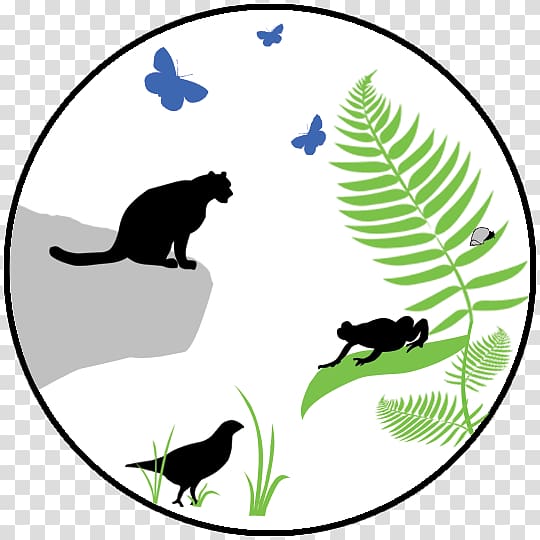 Silhouette illustration of a cat, bird, frog, and butterflies among ferns in a circular frame.