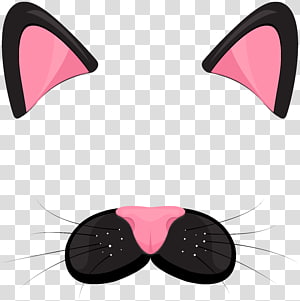Black cat ears with pink inner lining, black mustache with pink nose and white whiskers on transparent background.