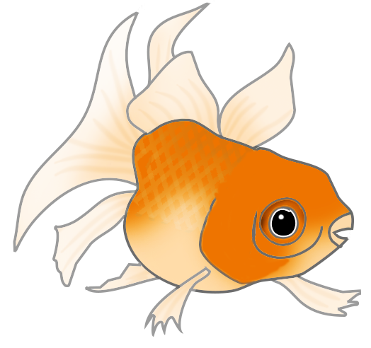 Fish svg, clown fish svg, Cute fish svg, fish clip art, fish svg