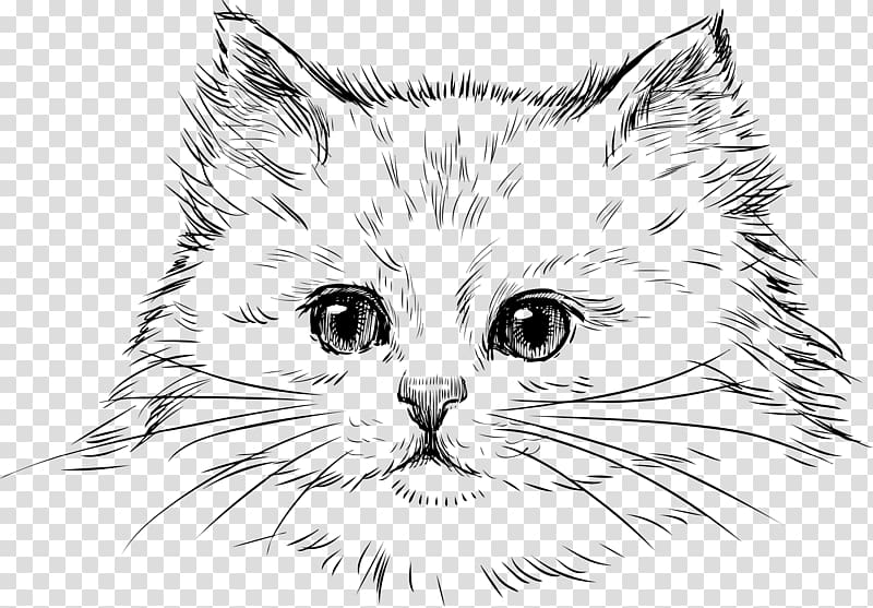 persian cats - Clip Art Library