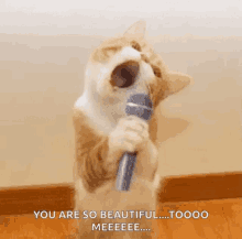 A ginger-and-white cat sings passionately into a microphone with eyes closed and mouth wide open.