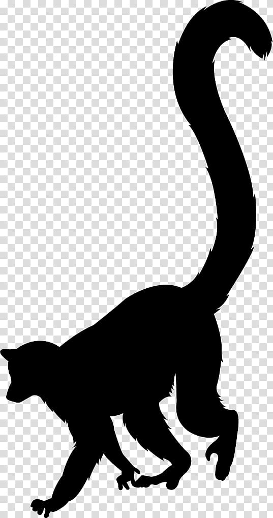 Silhouette of a lemur walking with long curved tail raised, black on transparent background.