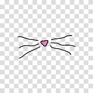 Simple hand-drawn cat nose with pink heart-shaped nose and six whiskers on transparent background.