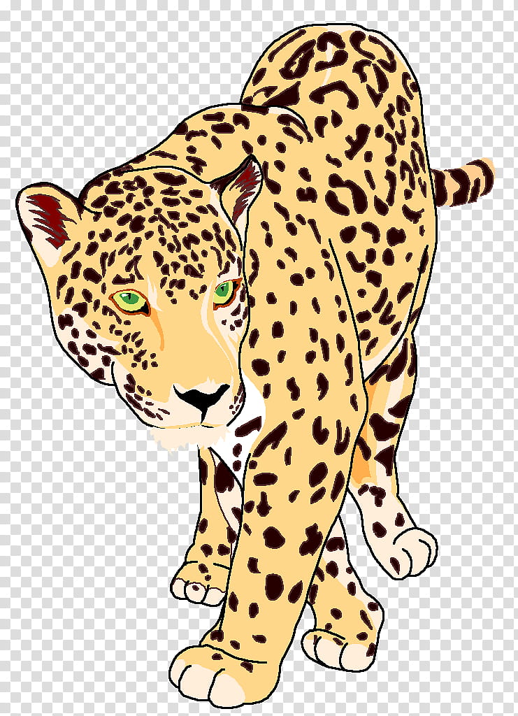 Leopard Illustration - Free Transparent PNG Download
