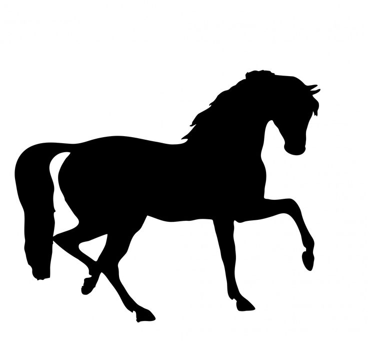 Black silhouette of a prancing horse in profile against white background.