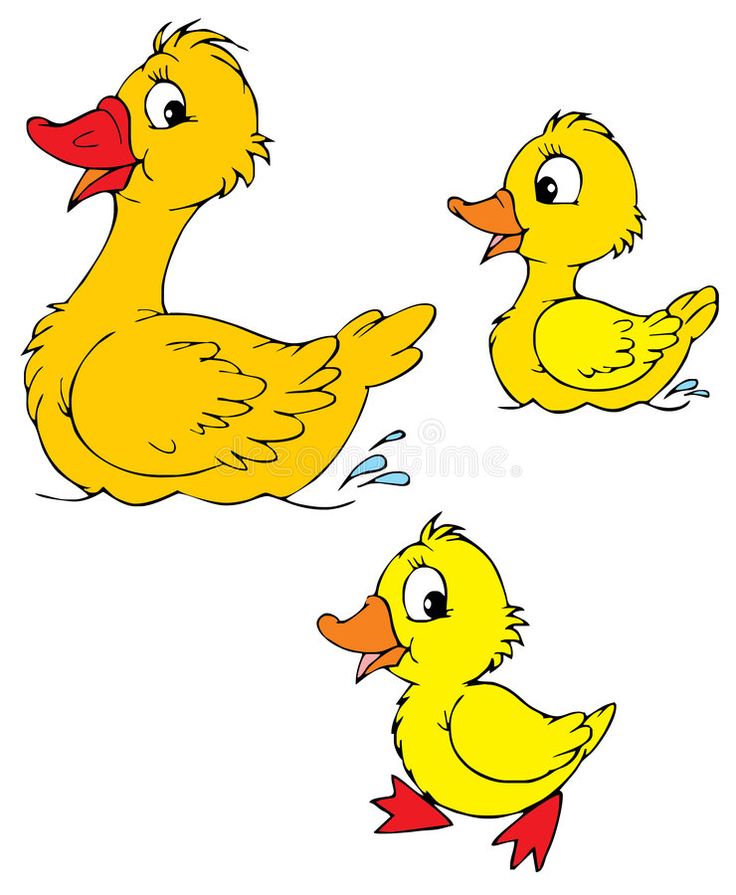 Ducklings clipart. Free download transparent .PNG Clipart Library ...