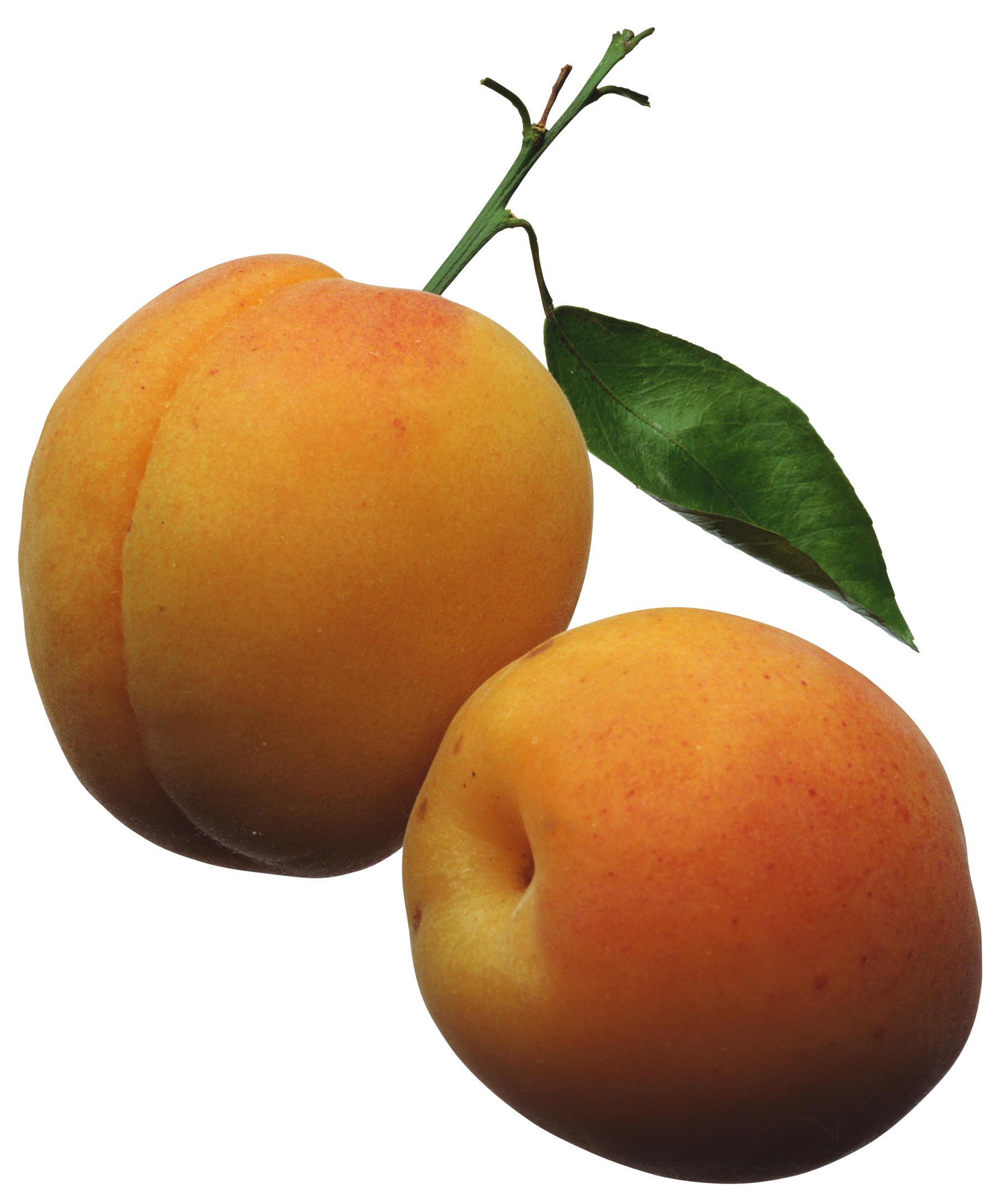 Two ripe apricots with green leaf and stem, vibrant orange-yellow skin with subtle red blush.