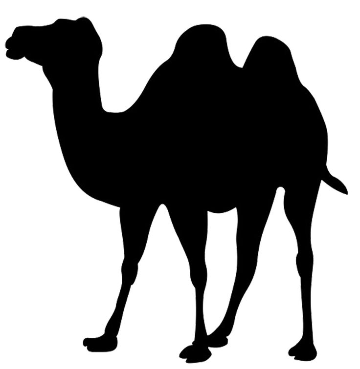 Black silhouette of a two-humped Bactrian camel standing in profile against white background.