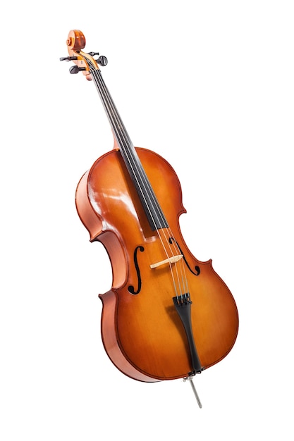 A polished wooden cello with black fingerboard and tuning pegs, isolated on white background.