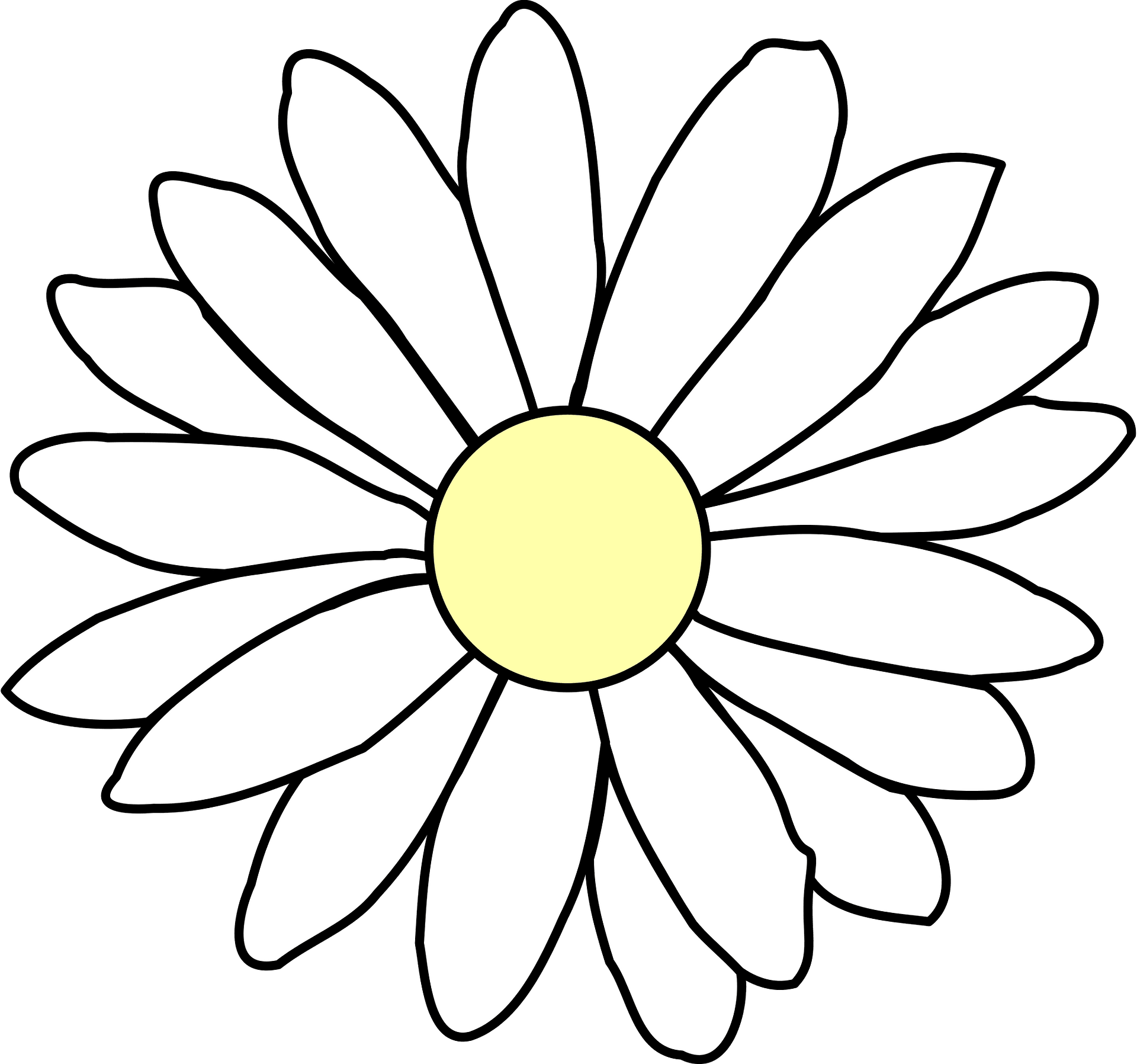 Chamomile Flower PNG Clip Art Image | Gallery Yopriceville - High ...