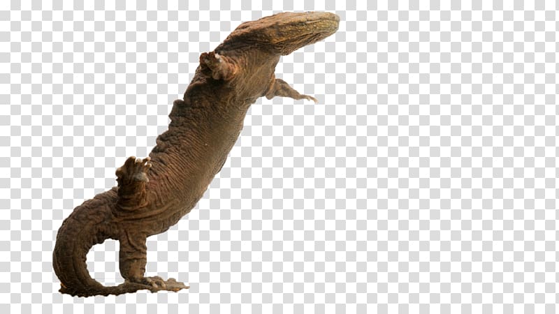 A brown axolotl in a dynamic, upward-stretching pose against a transparent background.