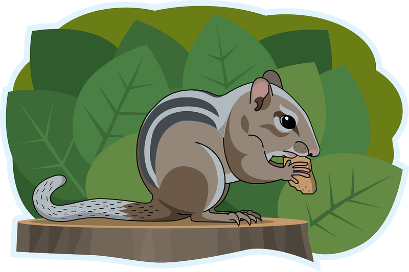 Chipmunk Eating Nut - Illustration for Nature & Wildlife Content