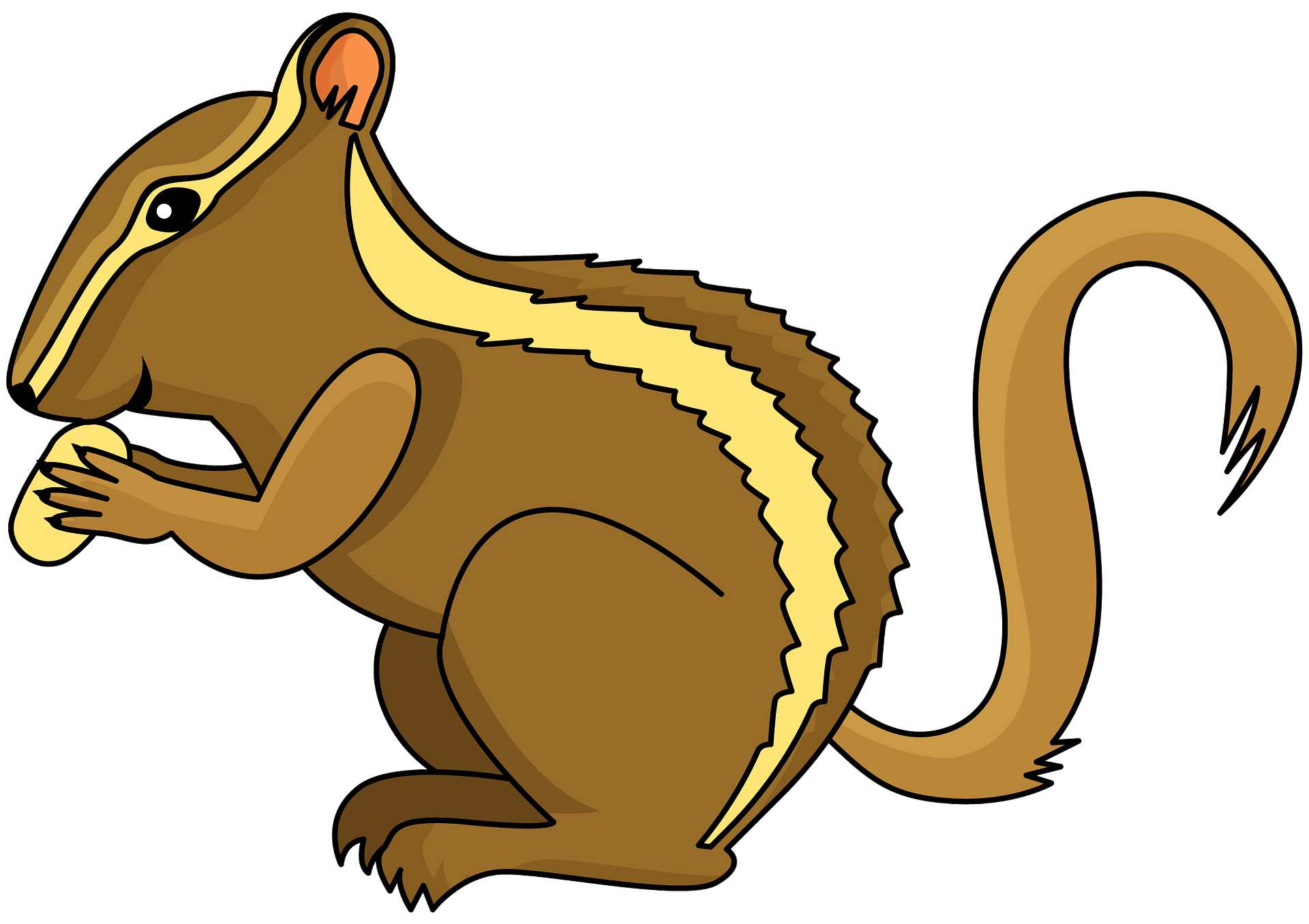 Squirrel Chipmunk Clip Art PNG 1261x1280px Squirrel Beaver Clip 