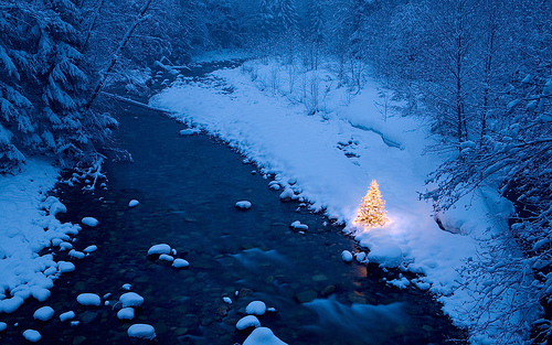 A glowing Christmas tree stands beside a snow-lined river at twilight in a serene winter forest.