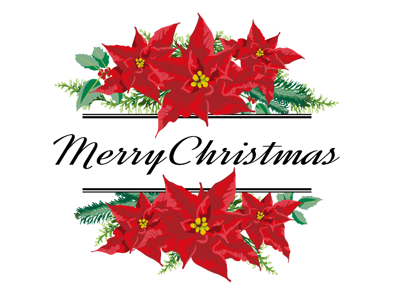 Festive red poinsettia floral arrangement with greenery and "Merry Christmas" script text, symmetrical holiday design.