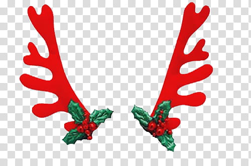 Red festive reindeer antlers with green holly and red berries on transparent background.