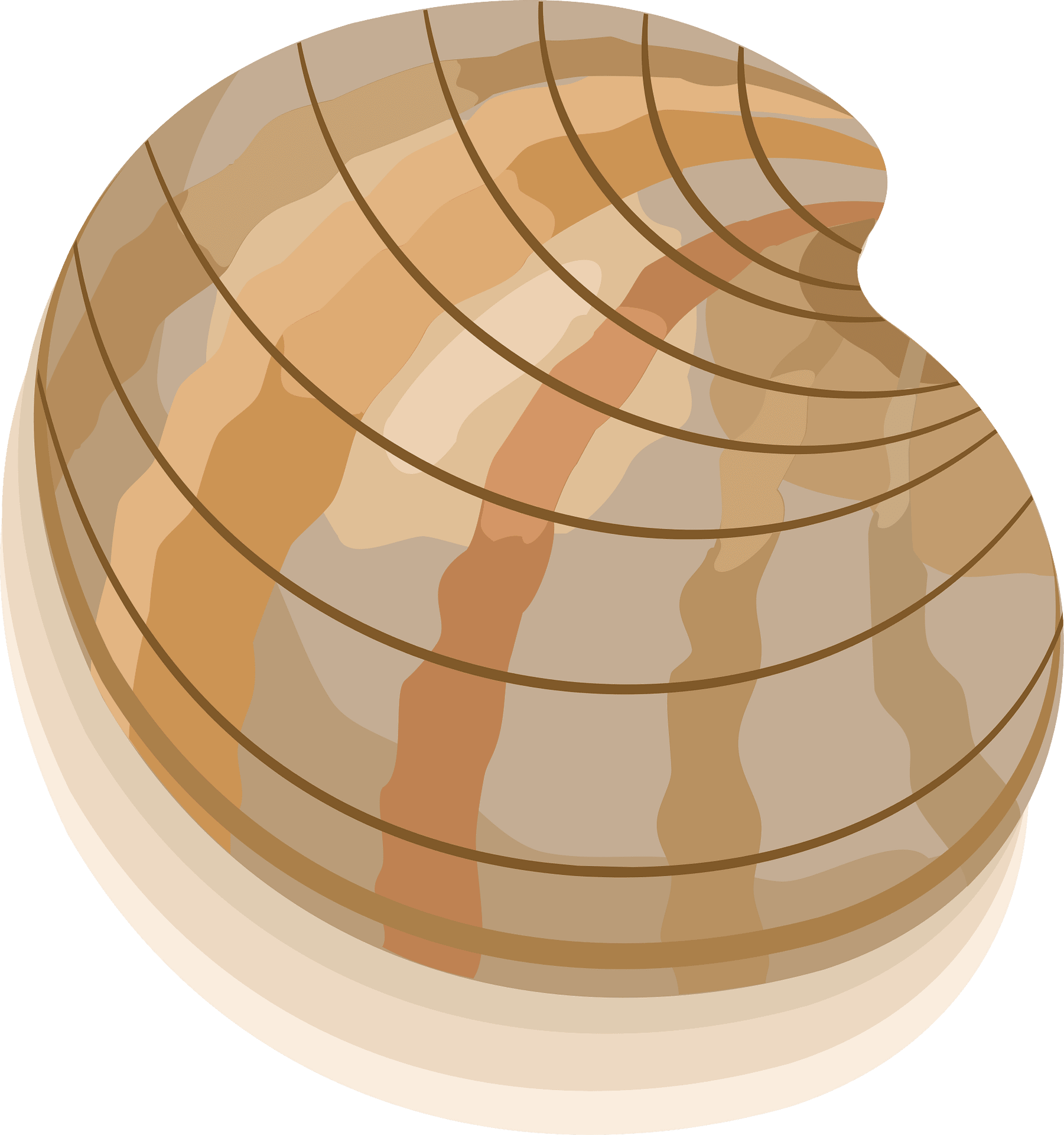 seashell-svg-clam-clip-art-instant-digital-download-svg-png-dxf-eps