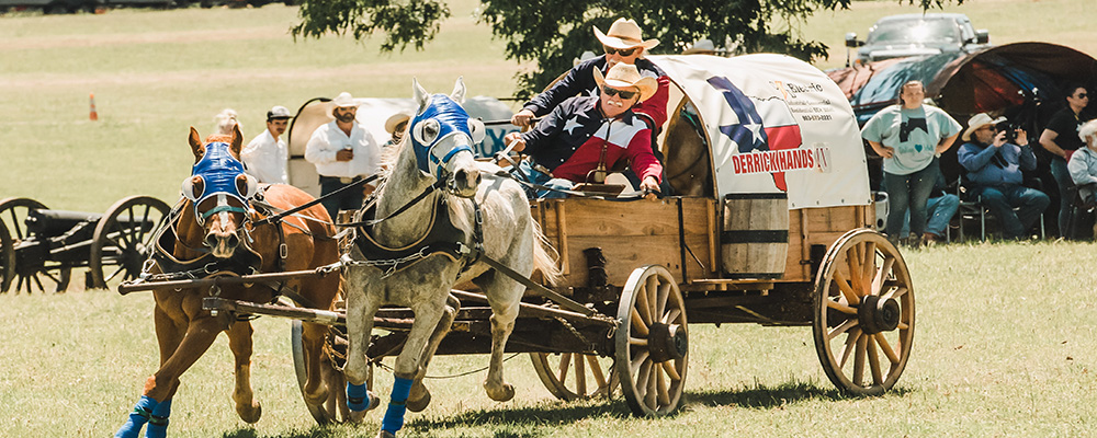 Two horses pulling a covered wagon with riders in cowboy hats at an outdoor historical reenactment event.