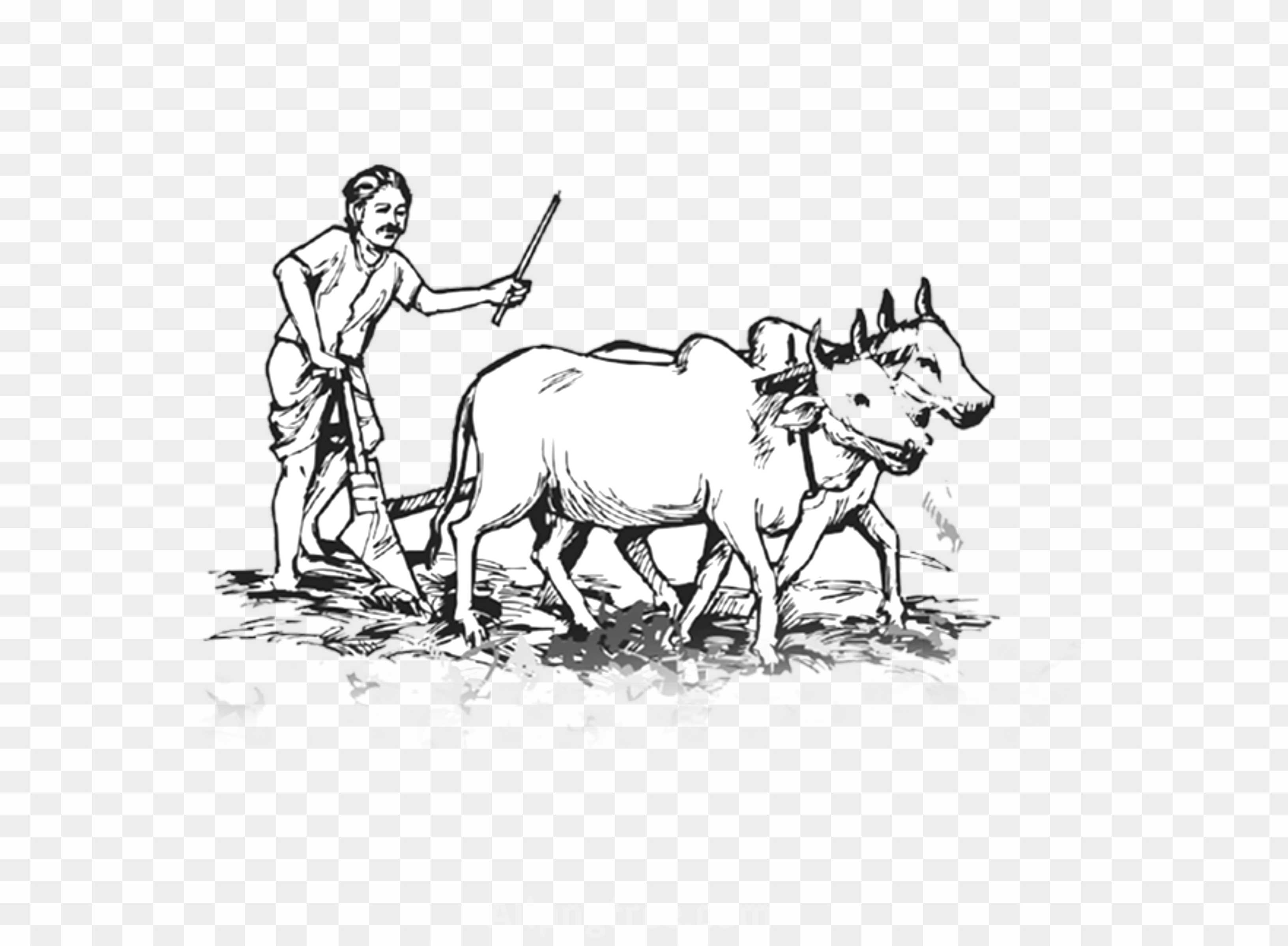 Farmer plowing a field with two oxen using a traditional wooden plow, black-and-white line drawing.