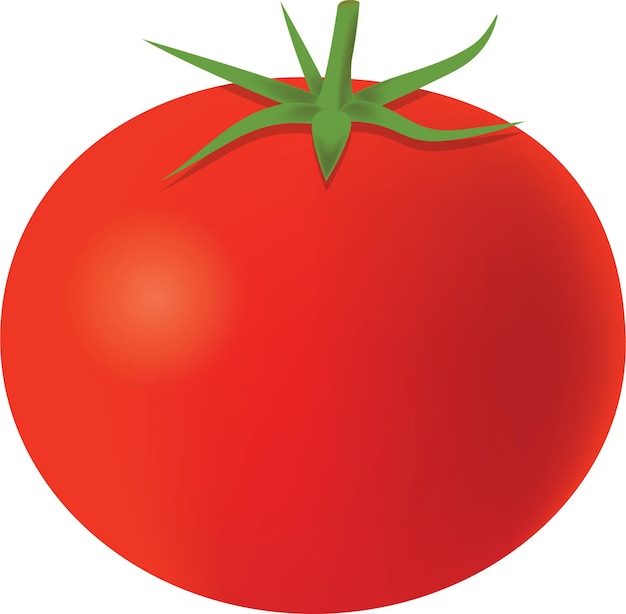 Bright red ripe tomato with green stem and leaves, glossy surface highlighting freshness.