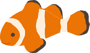 Free clownfishs, Download Free clownfishs png images, Free
