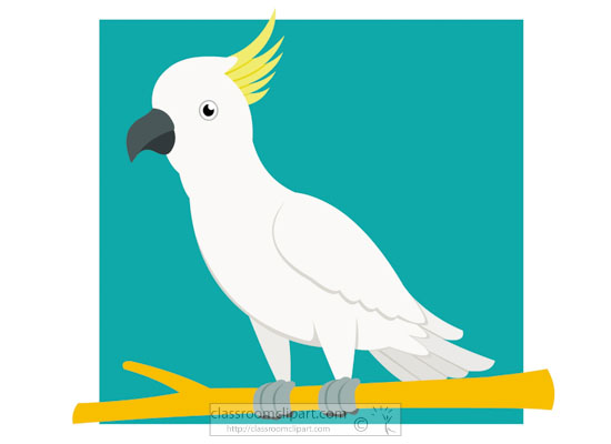 Illustration of a White Cockatoo - Free Classroom Clipart