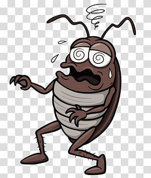 Cartoon cockroach with wide eyes, sweat, and dizzy swirl above head, appearing panicked or overwhelmed.