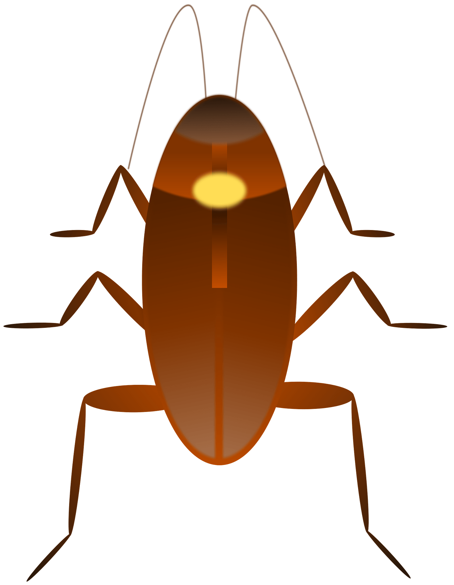 vector cute cartoon insect clip art cockroach Stock Vector Image - Clip ...