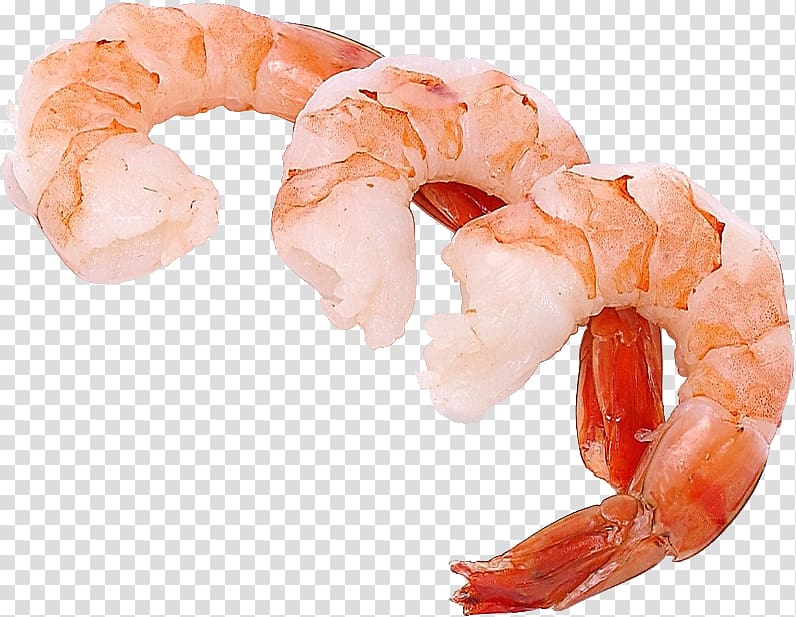 Fresh Cooked Shrimp - High-Quality Seafood Ingredient for Recipes