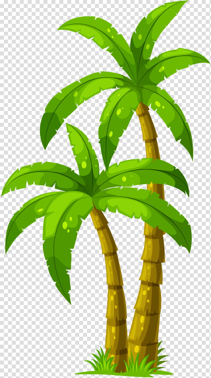 coconut tree - Clip Art Library
