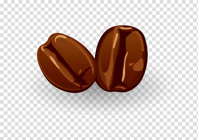 Roasted Coffee Beans - High-Quality Illustration for Cafés & Brands