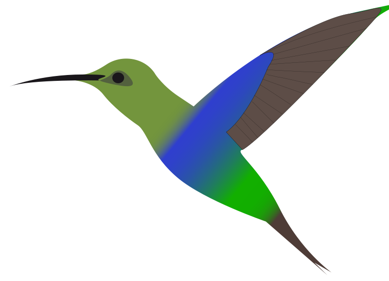 A stylized green and blue hummingbird in flight with brown wings and a long black beak, set against a black background.