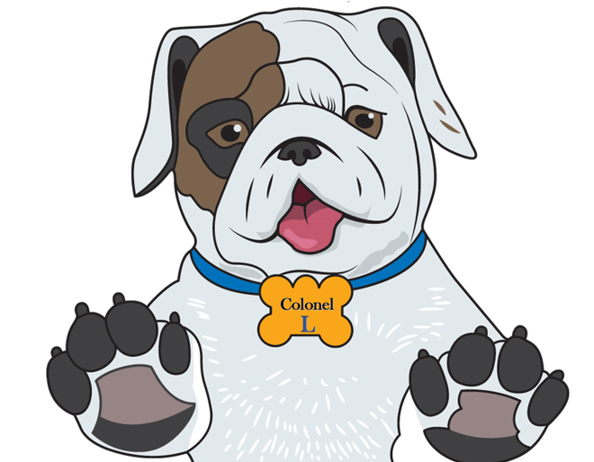 A cheerful white and brown bulldog named Colonel L wearing a blue collar and bone-shaped tag, paws raised playfully.