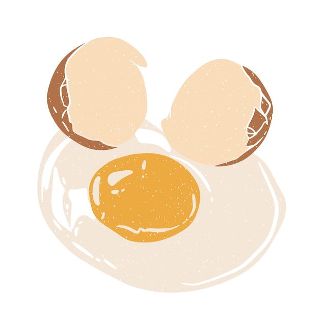 Illustrated Cracked Egg with Yolk - Culinary & Breakfast Visual Resource
