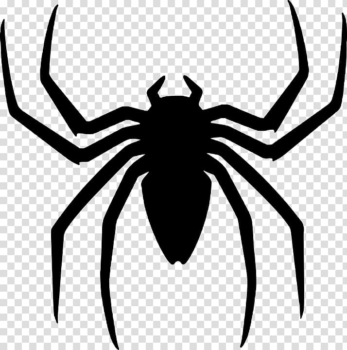 Spider Silhouette Vector Image - Free Download & Usage Guide