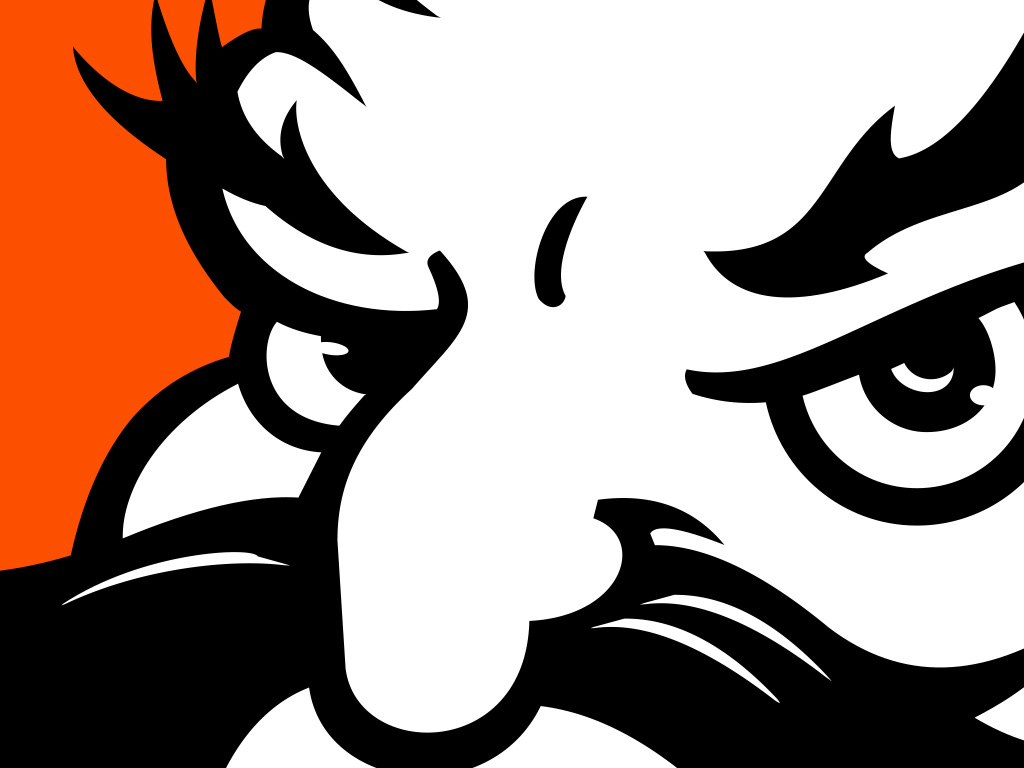 Abstract orange-and-black illustration with flowing organic shapes, swirls, and dynamic curves suggesting motion and energy.
