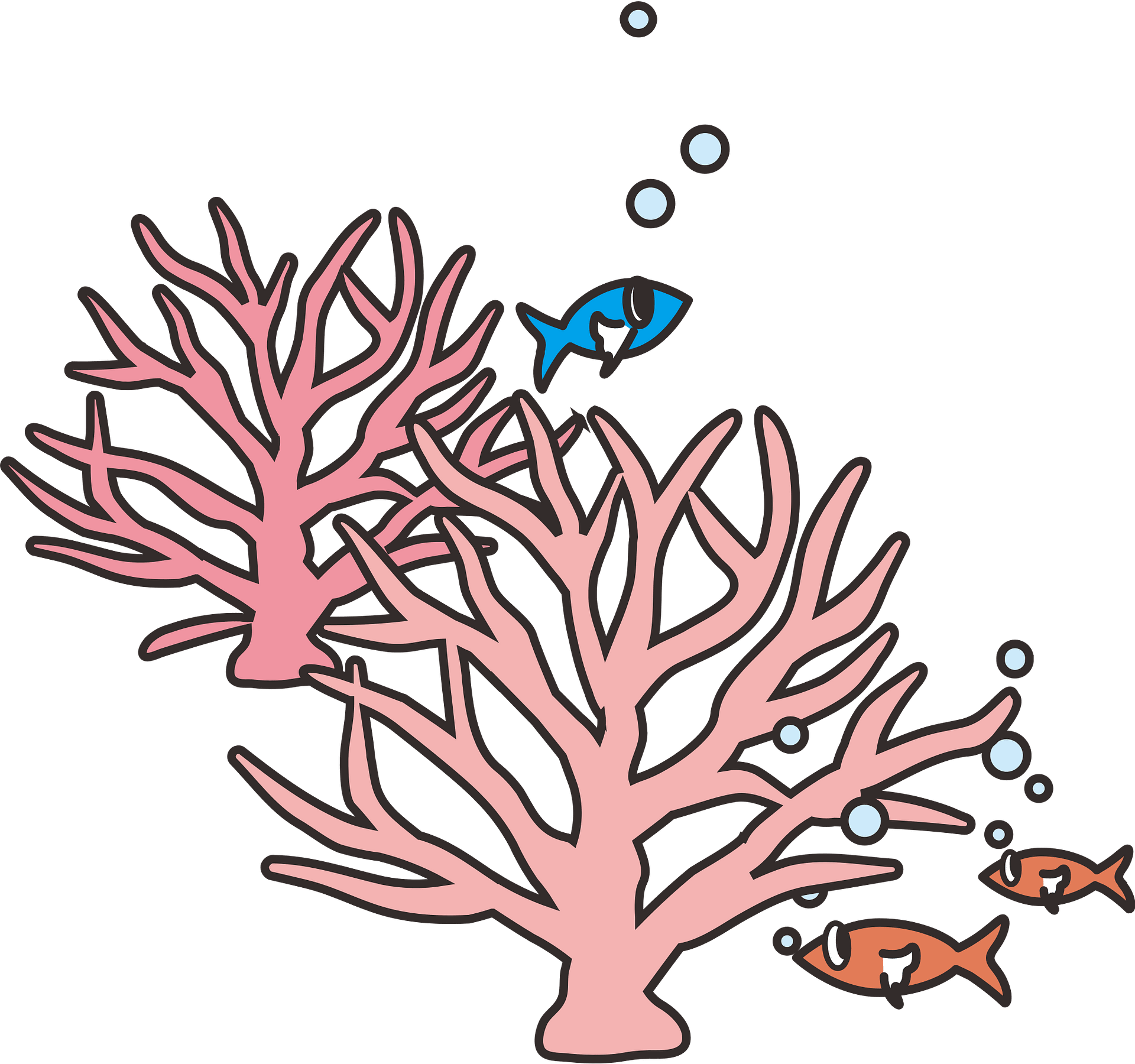coral reefs - Clip Art Library